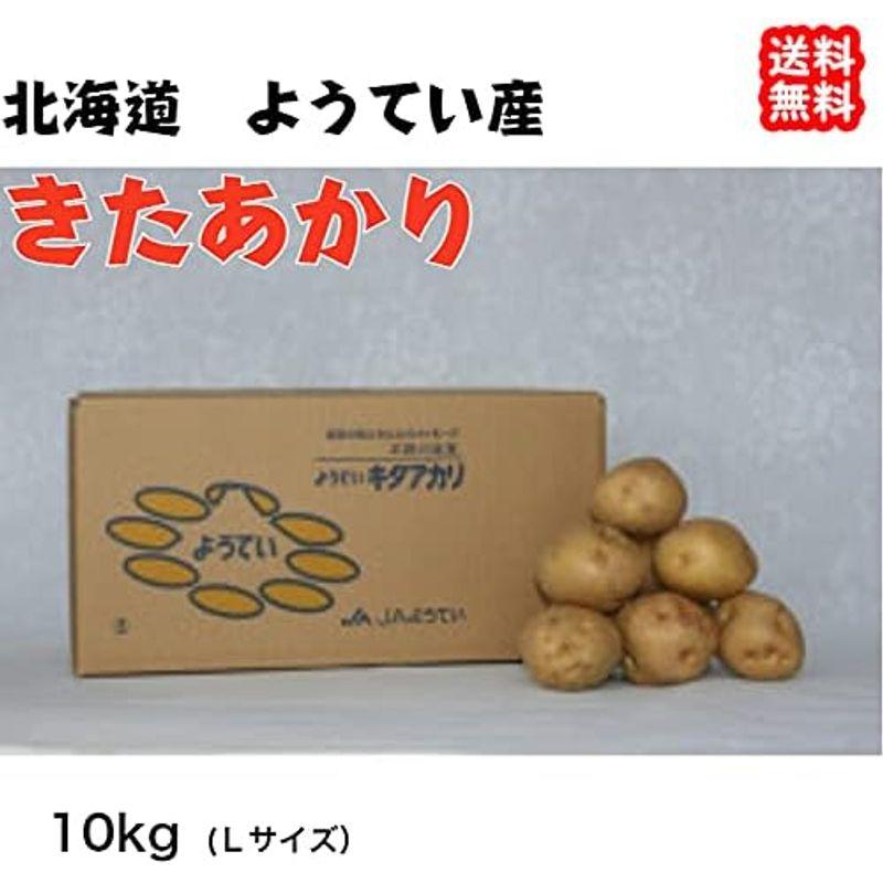 じゃがいも （きたあかり）10kg Ｌサイズ 北海道 ようてい産 農地直送 収穫量日本一 宇和海の幸問屋