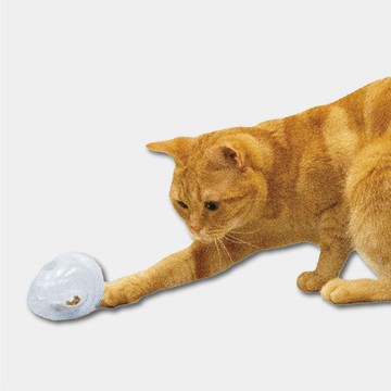 【日本CattyMan】滾來滾去 ~ 好好玩 ! 喵星人育智透明玩具蛋