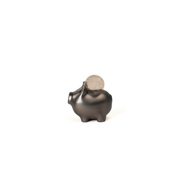 GOLDENPIG | 招財金豬 伍 霧鎳黑