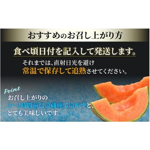 ふるさと納税 福井県 あわら市 マルセイユメロン 約3kg前後《秀品》(5L〜3Ｌ 2〜3玉入）深みのある甘さ とろける濃厚な赤肉！農家直送 有機肥料 …