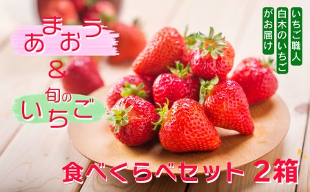 いちご職人 白木のいちご 「あまおう化粧箱」1箱と「旬のいちご化粧箱」1箱　2種食べ比べセット