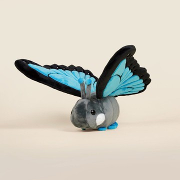 Bellzi | Morpho Butti 大藍閃蝶