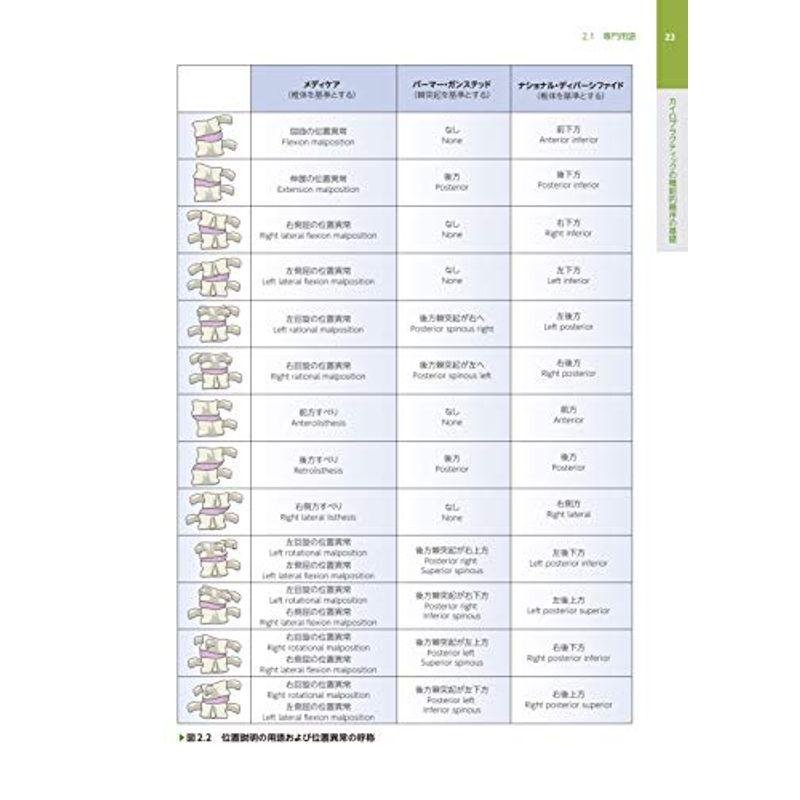 カイロプラクティック テクニック教本