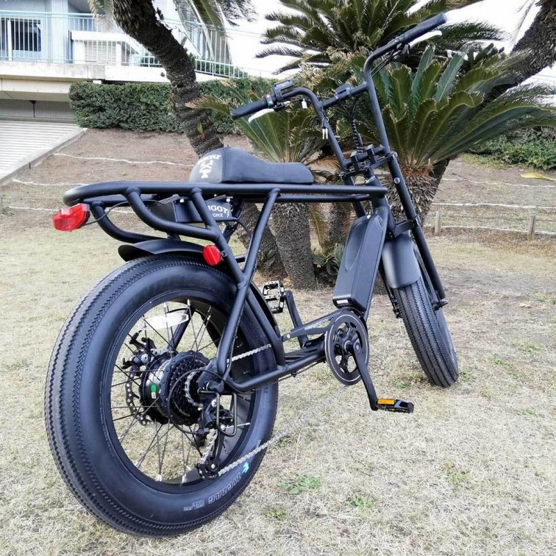 電動アシスト自転車 BRONX BUGGY-20 E-BIKE マットブラック 東京