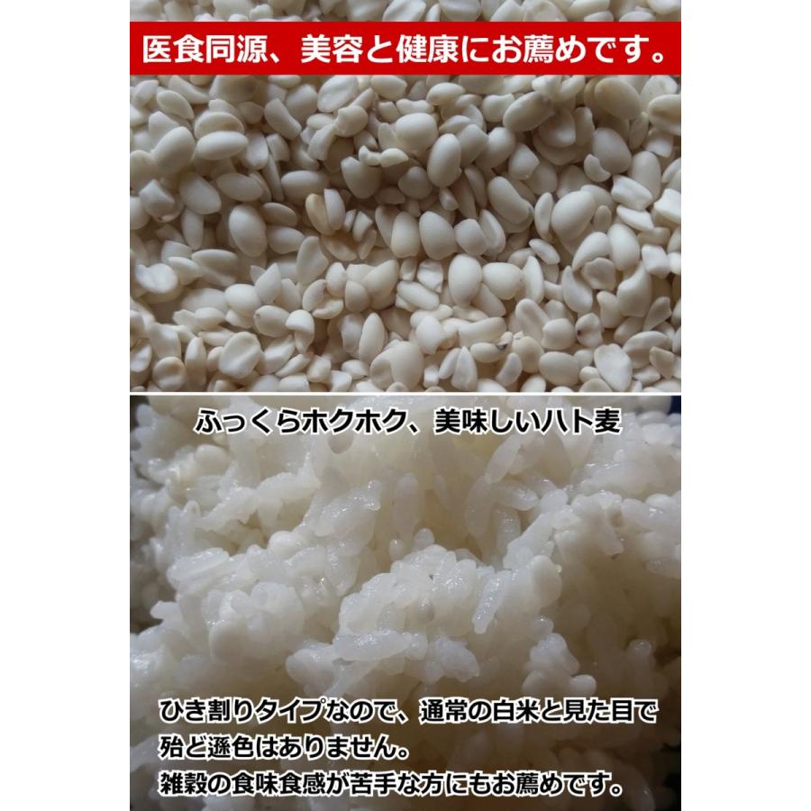 国産 ハトムギ (はと麦) 精白粒 500g