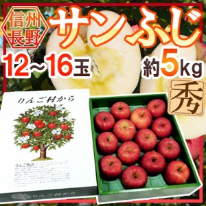 長野産 ”蜜入りサンふじ” 秀品 大玉12～16玉 約5kg 化粧箱 送料無料