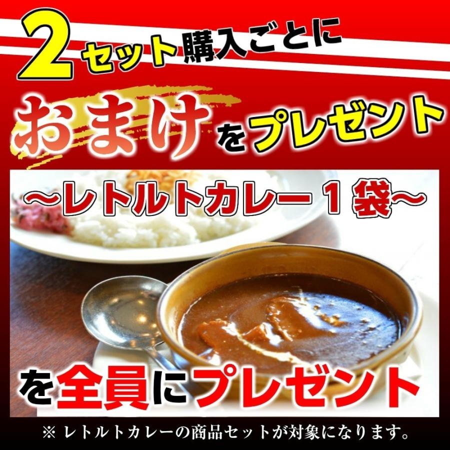 バターチキンカレー　＆　スリランカ風チキンカレー　会員価格500円　コンビセット　2人前　本格派　レトルト　お取り寄せ　メール便商品　お試しグルメギフト