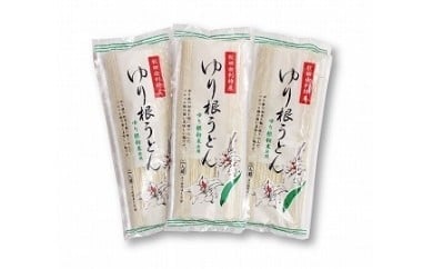 秋田県由利本荘市特産 ゆり根うどんバラ10把ゆり根かりんとう3袋