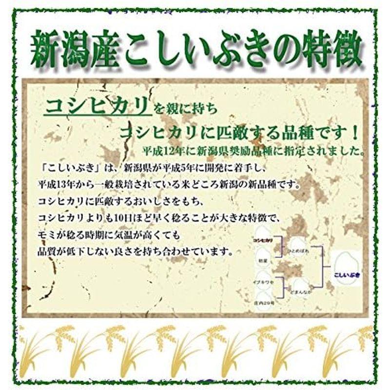 精白米 10kg 新潟県産 こしいぶき 令和4年産 安心安全な特別栽培米