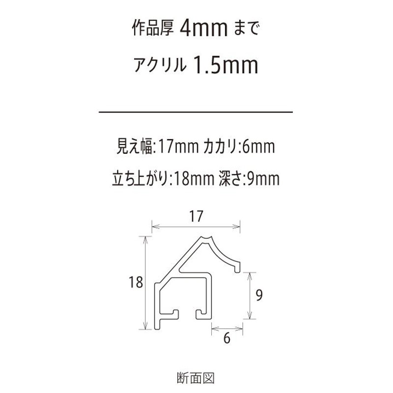 横長の額縁 アルミフレーム MG ブロンズ 横長Ｂ サイズ500X250mm 通販