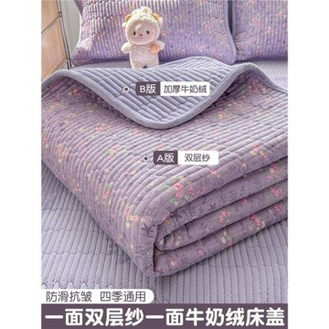 雙層紗床蓋單件正反兩用冬季加絨夾棉床單加厚牛奶絨床護墊三件套