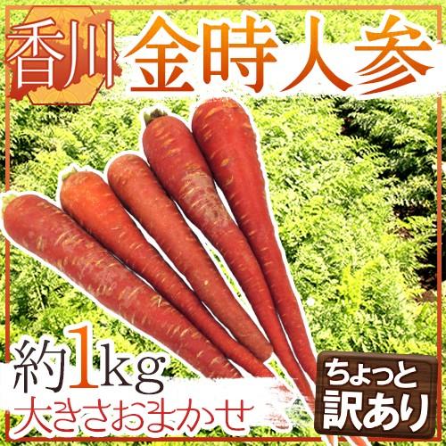 香川県 ”金時人参” ちょっと訳あり 約1kg 大きさおまかせ