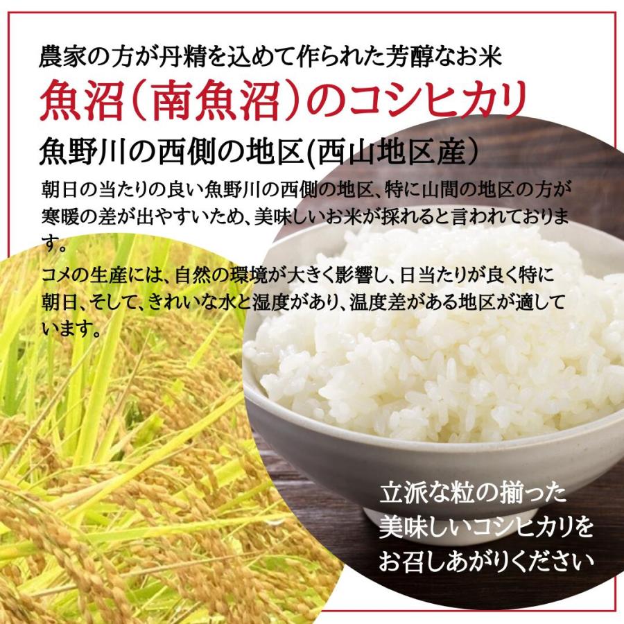 お歳暮に 魚沼産コシヒカリ 新米 令和5年 2kg  特別栽培米 お年賀  南魚沼産コシヒカリ 産地直送 新潟  美味しい米  贈答品 粗品 米 挨拶品 ギフト