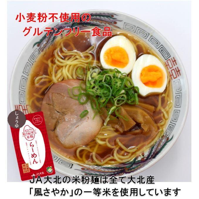 グルテンフリー米粉ラーメン（グルテンフリーの醤油スープ付）（２食入り）米粉麺