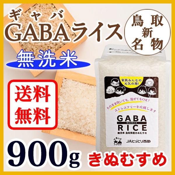 GABA RICE 無洗米 きぬむすめ 900g