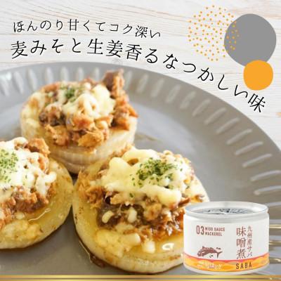 ふるさと納税 松浦市 缶詰工場直送　伝統のさば缶「旬ほとぎ」味噌煮12缶