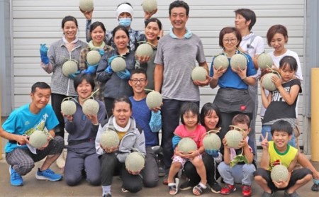 北海道 富良野産 赤肉メロン 4～6玉 大箱8kg (中山農園)