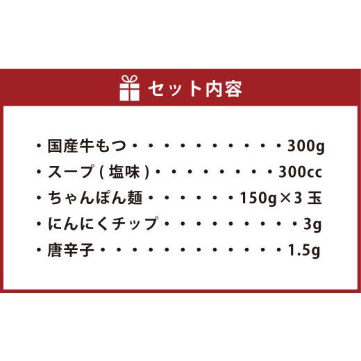 ふるさと納税 福岡県 大刀洗町 博多 もつ鍋 塩味 3人前 黒毛和牛 もつ 300g 国産