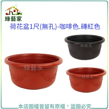 【綠藝家】荷花盆1尺(無孔)-咖啡色.磚紅色