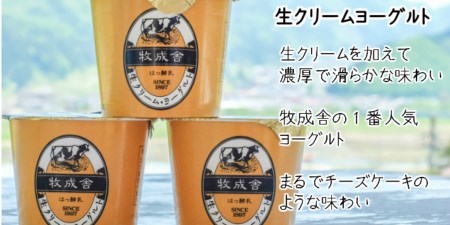 《定期便》牧成舎 ヨーグルト20個セット 12ヶ月定期便 生クリームヨーグルト 季の風 2種類[Q395]