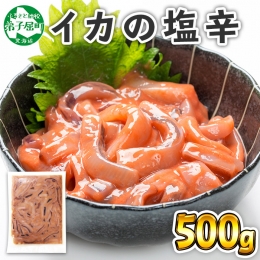 442. いかの塩辛 500g いか イカ 烏賊 おつまみ 魚介 海鮮 送料無料 北海道 弟子屈町