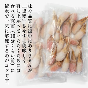 生冷 本ずわいがに 爪 1kg (500g×2) カジマ ずわい蟹 ズワイガニ ずわいがに かに カニ 蟹 かに爪 カニ爪 蟹爪