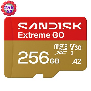 SanDisk 256G 256GB microSD extreme GO 240MB/s 4K V30 SDSQXGN-256G 記憶卡