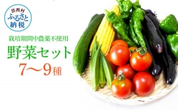 野菜セット（7‐9種類）栽培期間中農薬不使用！ 季節の野菜 旬 無農薬 野菜 やさい 新鮮 自然 健康 セット 詰め合わせ 冷蔵 美味しい おいしい 食べ物 食材 秋 旬の味覚 ご当地 お取り寄せ 芸西村 5000円 故郷納税 ふるさとのうぜい 返礼品 高知県産 高知