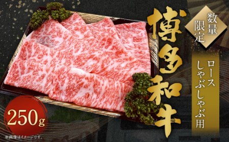 ロース しゃぶしゃぶ用 250g 牛肉 黒毛和種 和牛 しゃぶしゃぶ 焼きしゃぶ すき焼き 鍋 霜降り 肉 国産 福岡県産