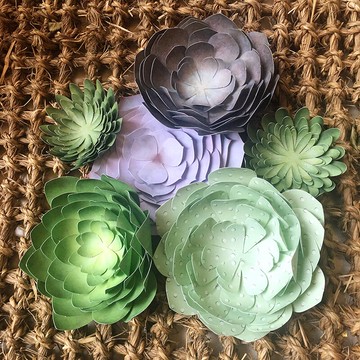 伊和諾創意紙藝家居兒童成人手工制作材料包多肉植物折紙裝飾套裝