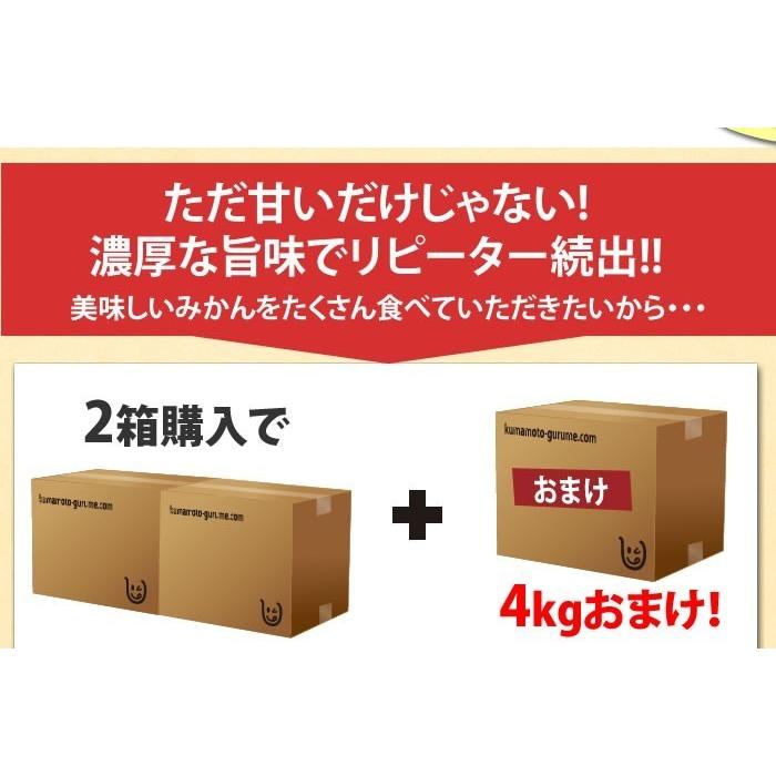 みかん 送料無料 秀品 8kg 絶品の熊本みかん ギフト 贈り物 熊本県産  2箱購入で4kgおまけ付き 極早生 早生 温州