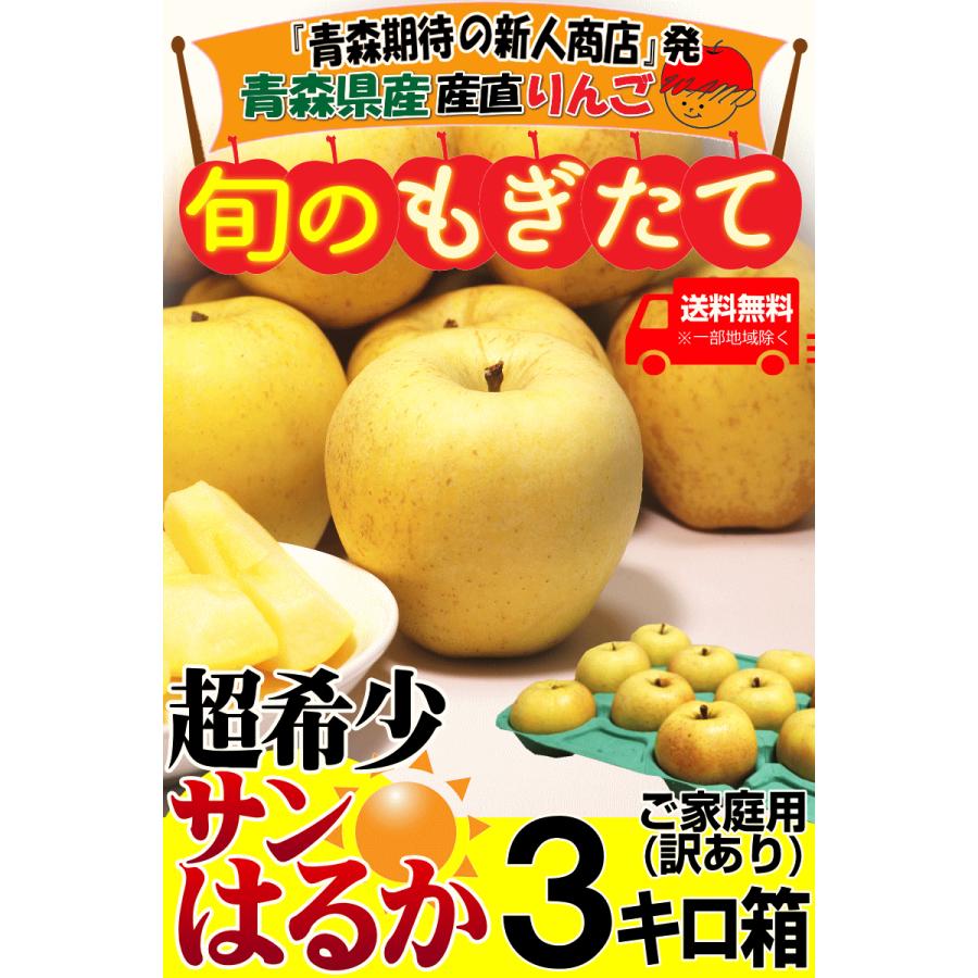 あすつく 青森 りんご 3kg箱 サンはるか 送料無料 家庭用 訳あり 青森 リンゴ 訳あり 3キロ箱★サンはるか 家訳 3kg箱