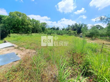 關廟臨路方正優質美農地｜台南市關廟區新園段