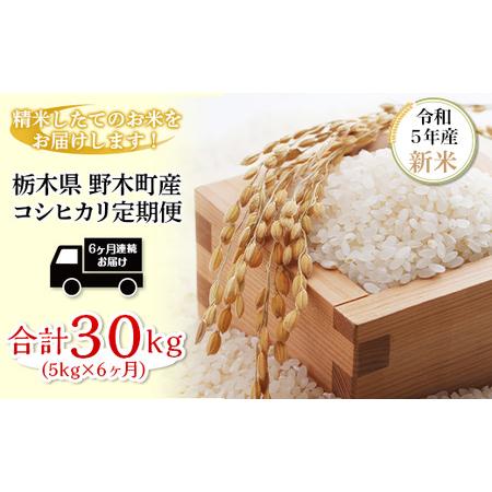 ふるさと納税 K10 こしひかり 5kg 6ヶ月 連続 お届け 定期便 計 30kg 栃木県産 精米 つきたて 栃木県野木町