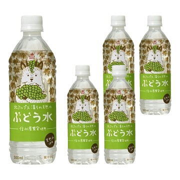 Gold-Pak 葡萄風味水  500ml  5個