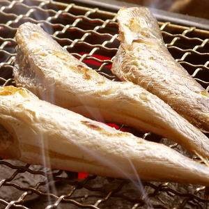 炙るだけ3分こまい 氷下魚 かんかい 1kg前後 送料無料 通販 Lineポイント最大5 0 Get Lineショッピング