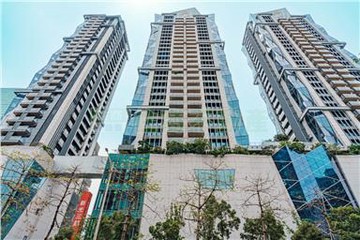 ⭐台北之星，高樓美景住商林諭緹｜台北市大安區忠孝東路三段