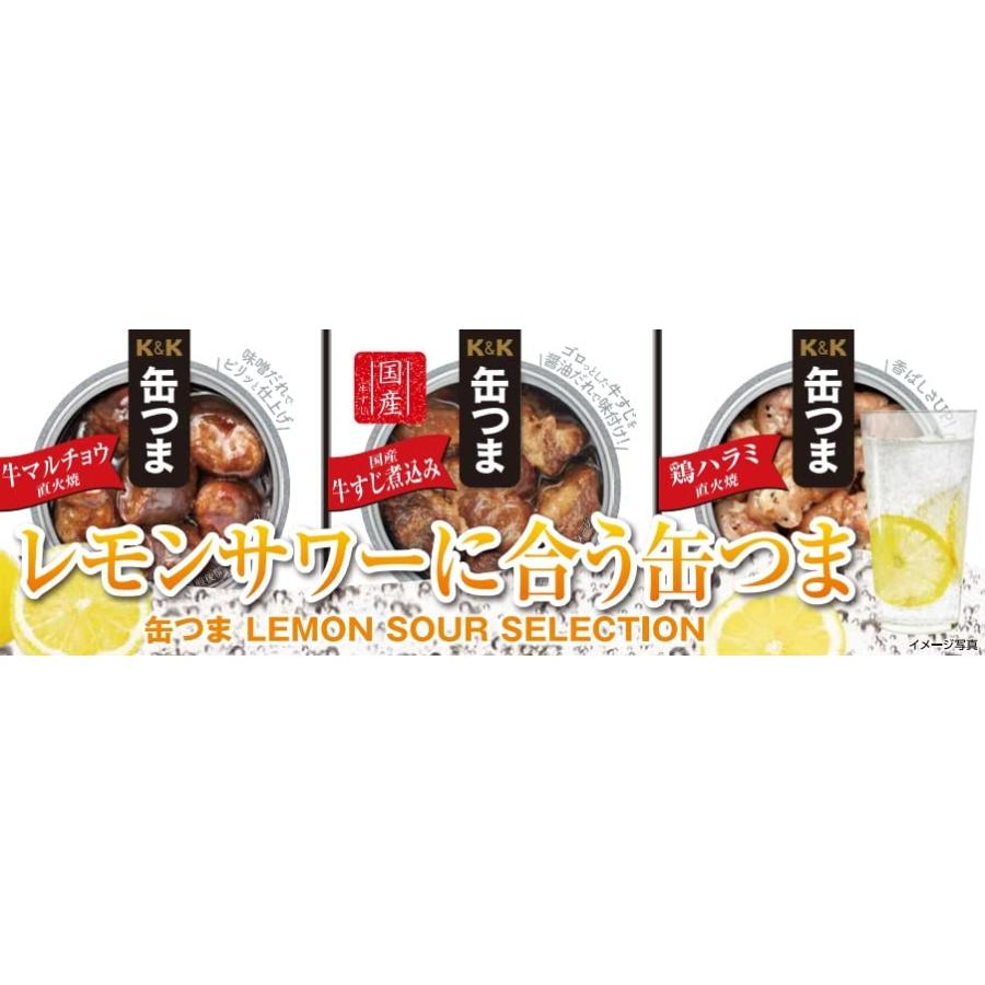 国分グループ本社 KK 缶つま LEMON SOUR SELECTION