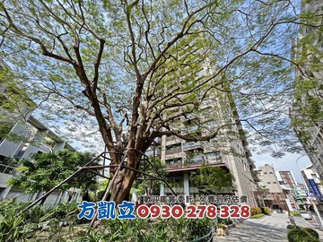 專賣誠美樸真日系文青採光三房平車豪邸｜台南市中西區五妃街