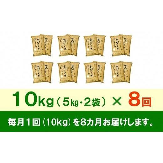 ふるさと納税 岩手県 奥州市 ☆全8回定期便☆ 岩手ふるさと米 10kg(5kg×2)×8ヶ月 一等米ひとめぼれ 令和5年産 新米  東北有数のお米の産地 岩手県奥州市産