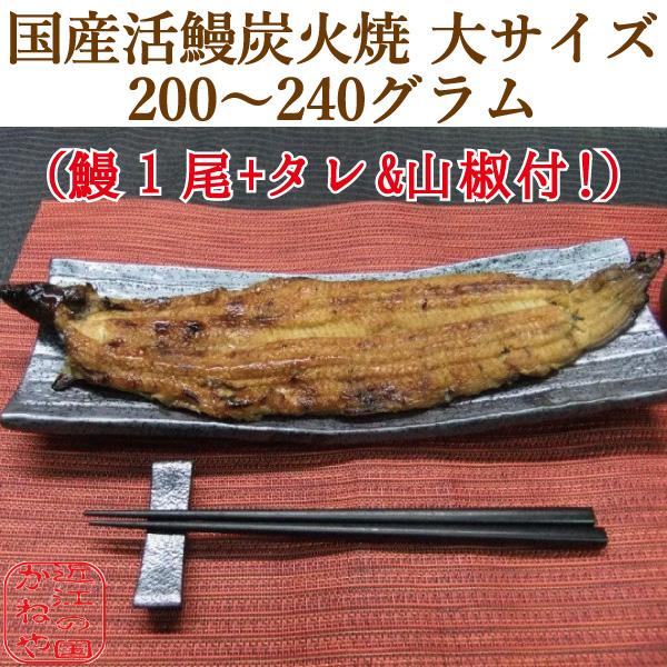 国産 活鰻 炭火焼 炭焼き 蒲焼き 大サイズ 200〜240グラム 長焼き 1尾 うなぎ 鰻  ウナギ ギフト 土用の丑の日 手土産