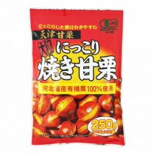 タクマ食品 にっこり焼き甘栗 20×2個入 食品