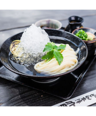 うどん本陣 山田家 ウドンホンジン ヤマダヤ 冷凍讃岐うどん カレーだしと本造りだしのセット(12人前)RBC-12 食品