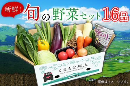 旬の新鮮野菜たっぷり16品セット★御船町産を中心とした旬の野菜セット 冷蔵 詰め合わせ 季節の野菜 安心・安全の野菜セット《30日以内に順次出荷(土日祝除く)》