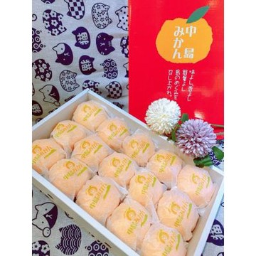 日本 愛媛縣 中島便 溫室蜜柑禮盒 12-15玉｜日本蜜柑禮盒