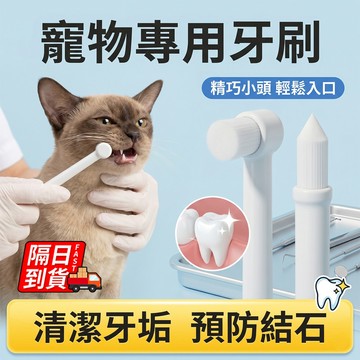 寵物萬毛牙刷 隔日到貨 貓牙刷 寵物牙刷 尖頭牙刷 狗牙刷 柔軟刷毛 平頭牙刷 萬毛牙刷 QJ3238