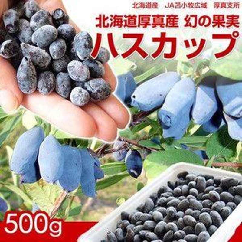 北海道産 ハスカップ 冷凍 3kg - 果物