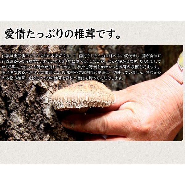 干し椎茸 乾燥椎茸 どんこ 120g 九州大分県産  国産 しいたけ シイタケ 原木栽培 乾燥野菜