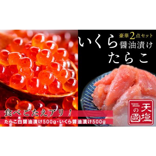 ふるさと納税 北海道 天塩町 いくら醤油漬け＆たらこ白醤油漬け 各500g＜天塩の國＞