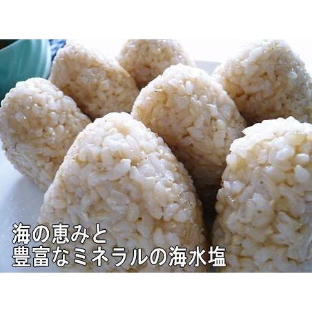 無農薬 お米 有機米 白米 5kg コシヒカリ 自然農法 令和5年産 新米 石川県産 辻本さんの有機栽培米